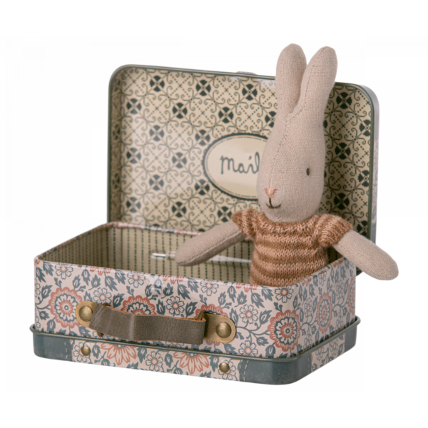 Hase im Koffer